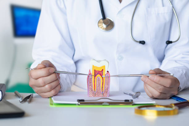 Best Emergency Dental Care for Broken or Chipped Teeth in Middletown, OH